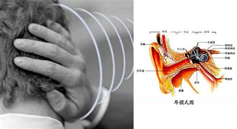 耳鳴會怎樣|耳朵嗡嗡叫，持續耳鳴怎麼辦？一文看懂「耳鳴」的8。